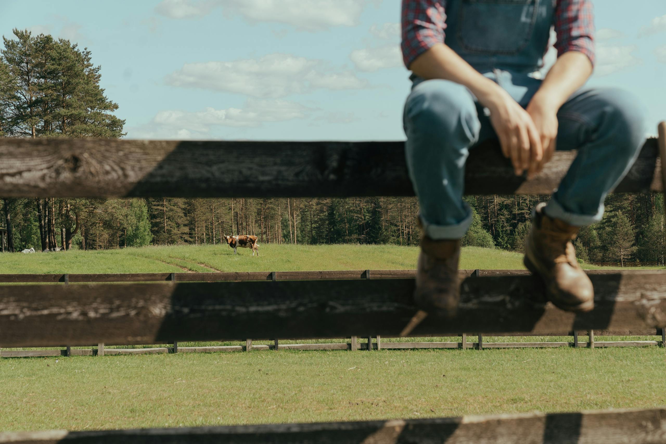 A farmer in denim overalls sits on a wooden fence, overlooking a serene rural landscape with a cow grazing.