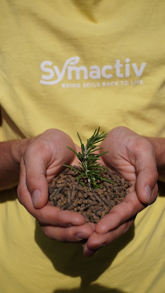 Mains tenant des pellets Symatec+ avec une jeune pousse